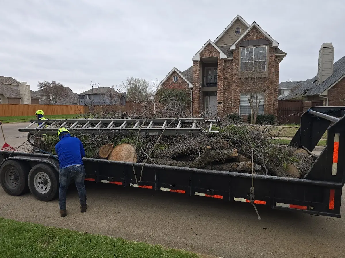 Expert Lot Clearing with proper safety equipment in Topeka